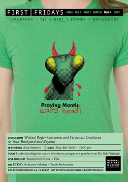 Praying Mantis Eats Head!