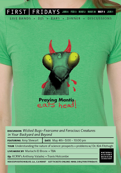 Praying Mantis Eats Head! Praying Mantis Eats Head!