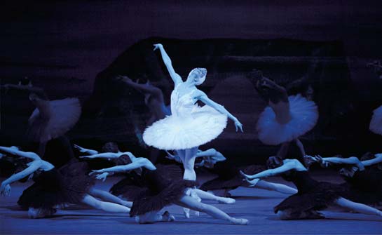 Swan Lake
